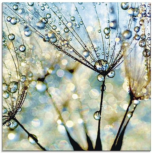 ARTland Wanddeko Glasbilder Wandbild Glas Bild einteilig Quadratisch Wellness innere Ruhe Pflanzen Blumen Pusteblume Regen Tau Wasser Diamanten S9MF