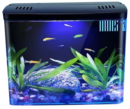 Acquario Da 1,3 Galloni Per Pesci Betta, Gamberetti E Rossi - Trasparente Con Filtro A 3 Strati, Luce LED, Autopulente - Decorazione Per La Casa - Nero