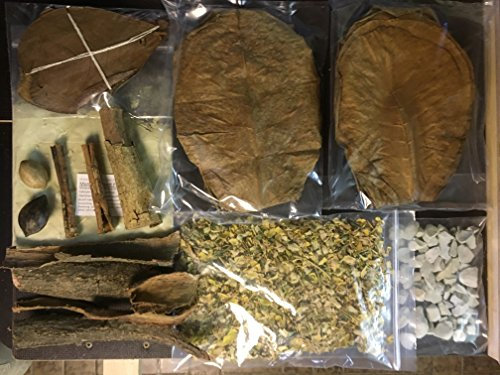 Wasseraufbereitung Set XXL für natürlich gesundes Wasser im Aquarium und niedrigem pH-Wert (Erlenzapfen, Seemandelbaumblätter, Montmorillonit, Zeolith, Seemandelbaumrinde, Saatmandel, Moringa)