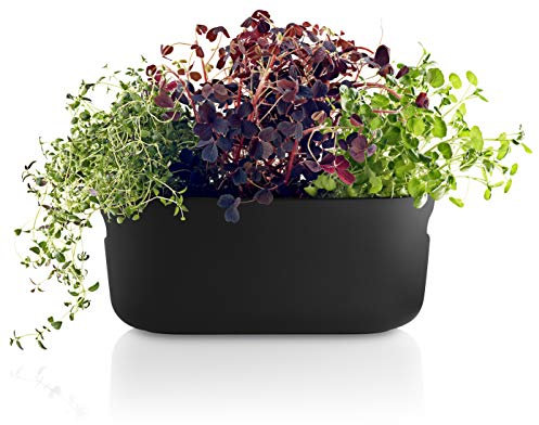 EVA SOLO | Selbstbewässernder Herb-Organiser black | Verhilft Kräutern zu einem langen Leben | Schwarz
