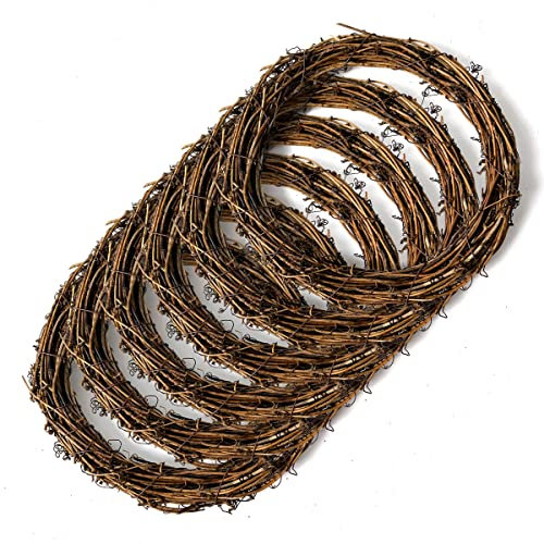 Worown 6 Pcs 25cm Natural Grapevine Wreaths Vine Branch Wreath Rattan Wreath for DIY Christmas Craft, Front Door Wall Hanging, Wedding and Party Decors