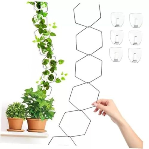 MonoSora Traliccio a catena per piante rampicanti, 18 pezzi, anello esagonale da giardino, supporto per edera, filodendro, Hoya, verdure, resistente alle intemperie, finitura opaca, per interni ed