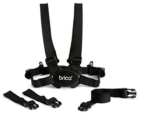 Munchkin Stay Close Harnais et Laisse pour Bébés et Enfants | Harnais de Sécurité avec Sangles Robustes pour Tout-Petits | Idéal pour Marcher dès 6 Mois | Noir