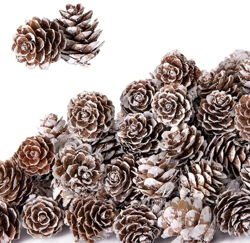 Esshogo 30 pigne natalizie da 3 a 4 cm, con pigne di pino, decorazione naturale, pigne di pino, pigne bianche