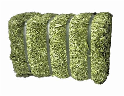 Eivolution Bio Luzerneballen mit Bändern 20 kg - für Geflügel - Beschäftigungsfutter - hoher Gehalt an Eiweiß, Vitaminen und Mineralstoffen - Ohne künstliche Zusätze - Wertvolles Beschäftigungsfutter