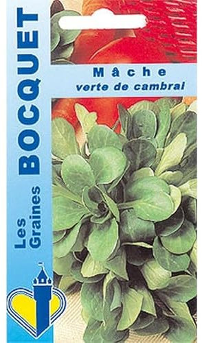 Sachet de graines de Mâche verte de Cambrai - 5 g - légume feuille - LES GRAINES BOCQUET