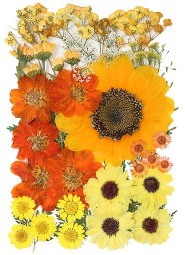 50 Pcs Dried Flowers for Resin,Real Dried Pressed Flowers Leaves Mixed Multiple Natural Kit for Christmas DIY Gift,Art Crafts,Candle, Soap Making, Nails Decor