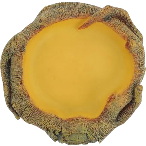 DIYEAH Bol Eau et Nourriture pour Reptiles Bassin Imitation Bois Mangeoire Stable et Compacte pour Lézards Geckos Dragons Barbus et Amphibiens Plateau Résistant et Antidérapant pour