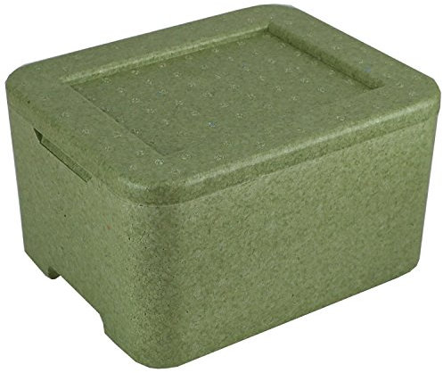 Europack24 2x W3 Thermobox grün für 3 Menüschalen | Styropor | wiederverwendbar | MENÜBOX-Transportbehälter für Catering und Lieferdienste