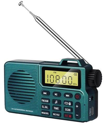 Portable Radio, DSP and AM/FM Bluetooth 5.0 radio, Small Radio, Portable Radios Mains and Battery, USB Charging for 17+ Hours Playback, Alarm and Sleep Function(Army Green)