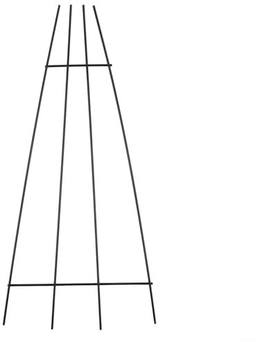 Traliccio per piante in metallo con forte supporto, adatto per gelsomino, Hoya e piante d'appartamento rampicanti