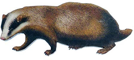 Miniblings blaireau imprimé bois Broche tierwald Marder - main bijoux mode I Pin Button Pins