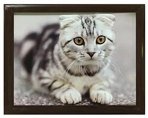 Cute cat Cushioned Bean Bag laptray Home Laptop Tray Drinks Food Breakfast Lap Tray - Cat Lover