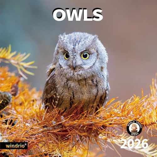 2026 Wall Calendar,Calendar 2026, July 2025 - December 2026, Wall Calendar Owls, 12 x 24 Opened,Full Page Months Thick & Sturdy Paper for Gift Perfect Calendar Organizing & Planning