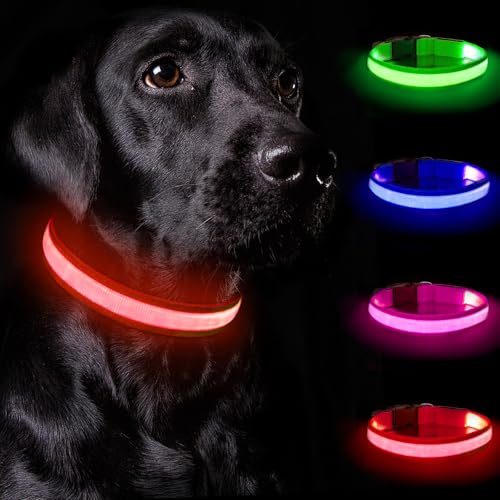 Nepfaivy Leuchthalsband Hund USB Aufladbar - Hundehalsband Leuchtend mit Verstellbarer Länge für Große Hunde, LED Halsband Hund mit 3 Beleuchtungsmodi für Nacht Sicherheit, (Rot-L)