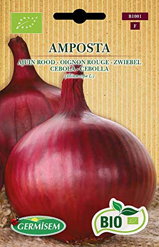 Germisem Bio Graines Oignon rouge AMPOSTA