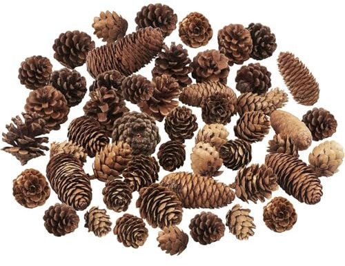 TaoQ C 40 PCS Pine Cones Decorations, Natural Pine Cones Bulk Package - Large Medium and Mini Size Rustic Pine cone Ornaments for Table Christmas Tree Crafts Gifts
