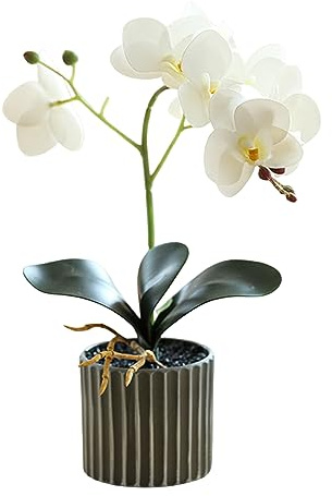 Wedhapy konstgjorda växter i krukor konstgjord orkidé 30 cm hög realistisk orkidé i en kruka äkta touch dekorativa bonsai blommor för bord, vit