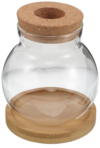 Cabilock 2juegos Botella para Planta Hidropónica De Vidrio para Plantas Acuáticas Decoración De Escritorio para Oficina y Casa con Bandeja De Bambú