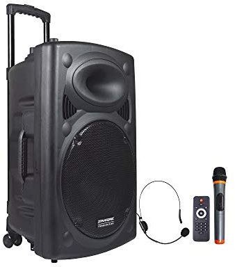 Dynasonic Dynapro Impianto Audio Portatile Cassa Attiva 15, Altoparlante Potente, Ingressi Usb Sd Mp3, Radio Fm, Nero (Dynapro 15)
