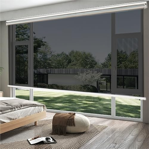 One-Way Mirror Roller Shade Retractable Roller Blinds Spring Loaded Window Blinds for Home Office Balcony Sun Blocking Easy Roll-Up Curtains(Black,53X63IN)