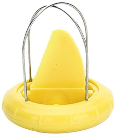 Tedious Herramienta para pelar frutas, pelador de kiwis,Cortadora de naranjas de acero inoxidable | Peladora manual, herramienta central de excavación de frutas apta para lavavajillas para kiwi y