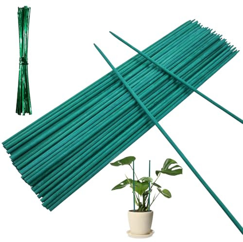 50PCS Plant Support Sticks with 50PCS Twist Ties, 38cm Garden Bamboo Stakes for Flowers Floral Plant(38cm)