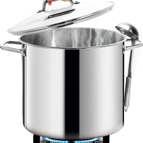 GAOBINGB Olla Grande de Acero Inoxidable de 20 Cuartos con Tapa de Vidrio Templado. Ideal para restaurantes, hoteles y Fiestas. Utensilios de Cocina duraderos y fáciles de Limpiar para Chefs profesio