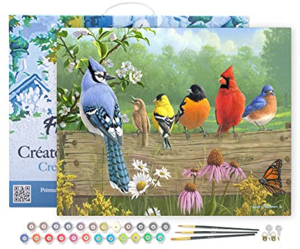 Figured'Art Peinture par Numéro Adulte avec Cadre Oiseaux sur la barrière - Activité Manuelle Kit de Loisir Créatif DIY Numéro d'Art Complet - 40x50cm toile tendue sur châssis
