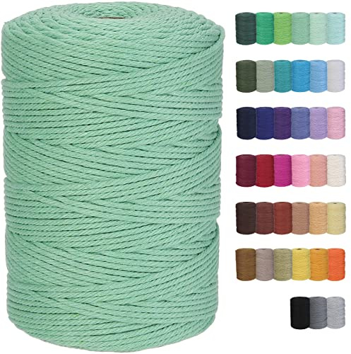 GOHOF Macrame Cord 3mm x 328yards Natural Cotton Cord Macrame Supplies for Plant Hanger Wall Hanger Dreamcatcher (Aqua Green)