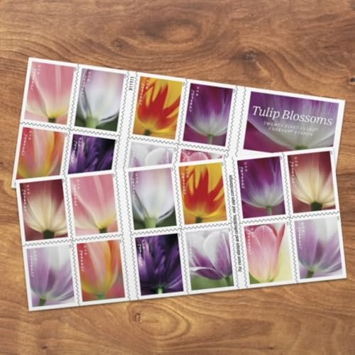 Tulip Blossoms 2023 (Book of 20) Flowers First-Class Mail Forever Postage Stamps
