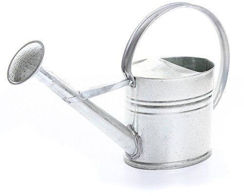 rg-vertrieb Zinkgießkanne 10 Liter Gießkanne Metallgießkanne verzinkt Blechkanne Deko