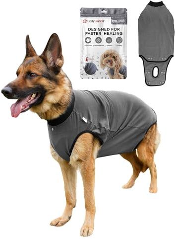BellyGuard Hundbody efter Op Tik, Op Body Hund Kastration Hön, Läckageskydd för hundar efter operation, Hundkropp