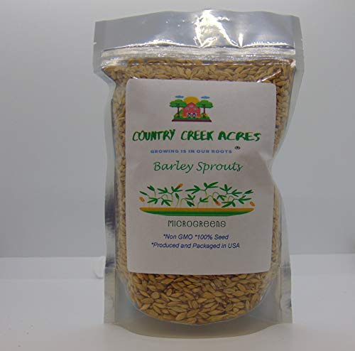 Whole Barley Seeds for Barley Grass Microgreen, Juice Sprouting Seeds 8 Ounces Resealable Stand up Pouch Used for Malt for Beer Brewing Malting