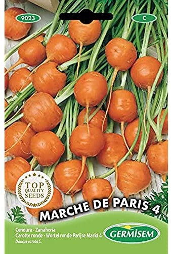 Germisem graines Carotte ronde MARCHE DE PARIS 4