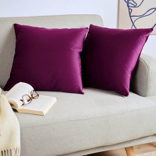 Blumtal 2er Set Kissenbezug 30x50 cm Violett - dekorativer Samt Kissenbezug mit verstecktem Reißverschluss, Kissenhülle für Zierkissen Deko-Kissen Polster Sofakissen & Couchkissen, waschbar