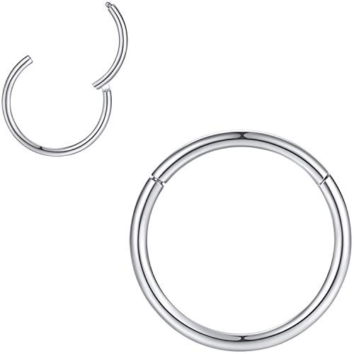 Popuhoops 316L Surgical Steel Hinged Nose Rings Hoop Suptum Ring Body Piercing Lip Rings Helix Cartilage Rook Earrings 20G 18G 16G 14G 12G 10G 8G, Diameter 5mm to 16mm, Gold-Rose Gold-Silver-Black