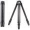 FALCAM TreeRoot - Kit de trípode de viaje de bloqueo rápido, trípode de viaje de fibra de carbono FALCAM R141K-A130 - T00A4302