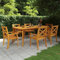 CINDERFUL Gartentisch 200x100x75 cm Massivholz Akazie Gartenmöbel
