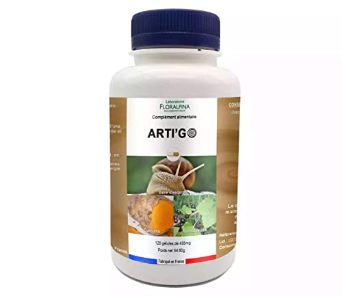 ARTI GO 120 Gélules – Cure 40 Jours | Curcuma 510mg + Boswellia + Cassis | Favorise le Confort Articulaire | Soutient la Mobilité | Conditionnée en France, Laboratoire FLORALPINA