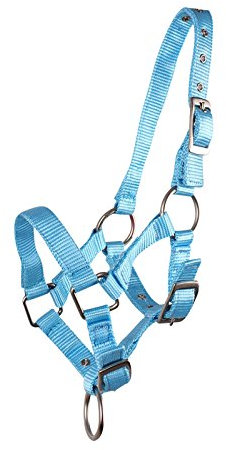 QHP Fohlenhalfter Halfter Fohlen Nylonhalfter 4 Fohlengrößen 6 Farben (Shetty Fohlen, hellblau)