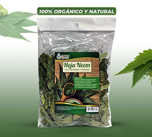 Hoja Neem Herbal/Tea 4 oz-113g Mexican Neem Leaves Supports Skin, Immune & Liver