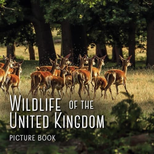 Wildlife of the United Kingdom Picture Book: wordless book for adults with dementia and alzheimer's disease (Peach Tree Books: Picture Books)
