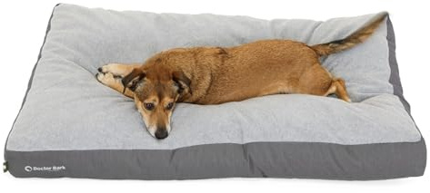 Doctor Bark Hundkudde medelstora hundar tvättbar – hundsäng mjuk fluffig – slitstark mysig liggkudde – grön etikett (M – 88 x 60 cm, grå)