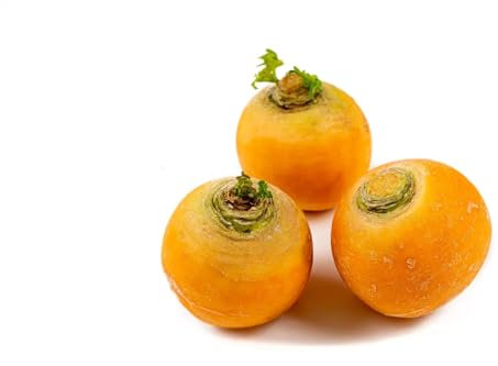 400 Graine Graines - Semences - Navet Boule d'or - Fruit Légume Jardin - JAUNE - 226