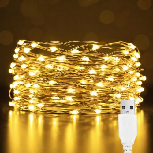 EvaStary USB LED stringa luce, 10M 100LED rame filo stringa luci, camera da letto impermeabile catena decorativa luce per fai da te Natale, giardino, festa, decorazione matrimoniale, bianco caldo