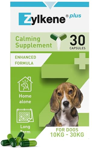 Zylkene Plus Calming Supplement for Medium Dogs (10kg-30kg) 225mg | Promotes Relaxation in long-term challenging situations: New Baby, Home Alone, Moving house | Easily administered | 30 capsules