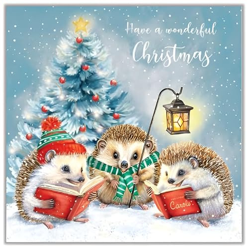 Noel Tatt Charity Christmas Cards Pack of 10 - Cute Hedegehogs Carol Singing - Festive Christmas Cards Multipack - In Aid of UK Charities