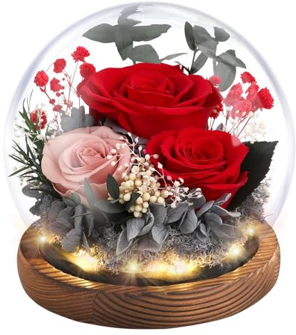 Emibele Christmas Eternal Rose Gifts for Mom, Preserved Real Rose in Glass Dome with LED Light for Decoration, Flowers for Delivery Prime, Gifts for Women Wife Her on Mother's Day Birthday, Red