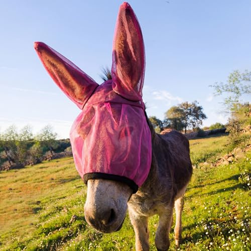 Mini Donkey Fly Mask with Ears Protection Breathable Mule Fly Mask with Long Ears Protection from Insects and Bugs Soft Mesh with Adjustable Fastener Easy to get on and Off(Rose Red)